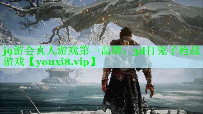 3d打鬼子枪战游戏