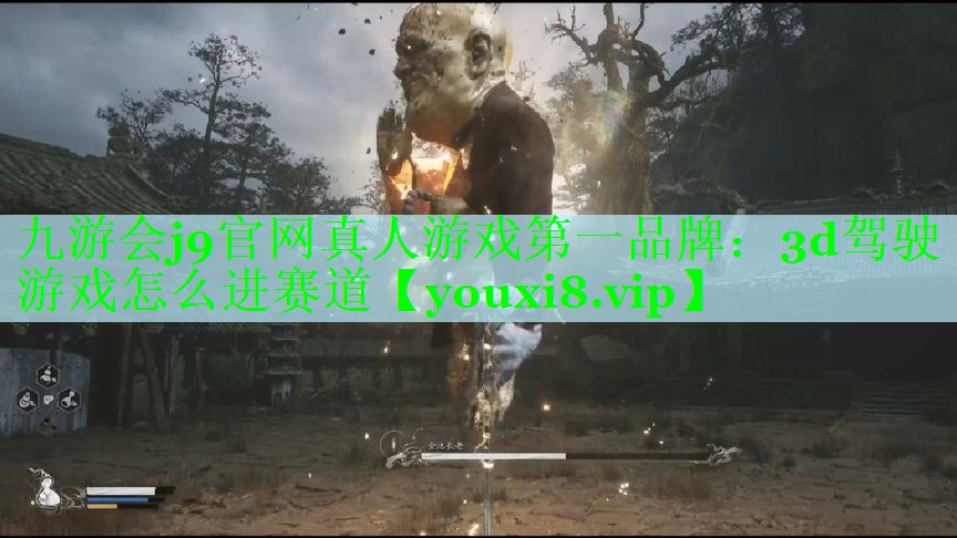 3d驾驶游戏怎么进赛道