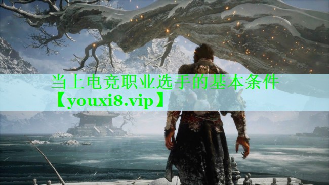 当上电竞职业选手的基本条件