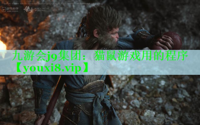 猫鼠游戏用的程序