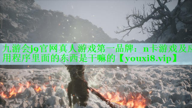 九游会j9官网真人游戏第一品牌：n卡游戏及应用程序里面的东西是干嘛的