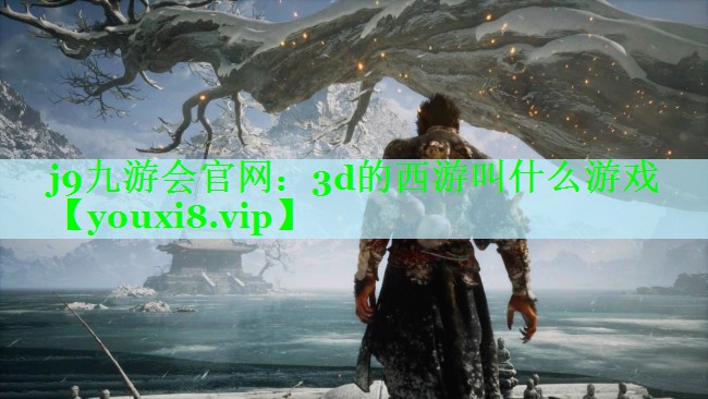 j9九游会官网：3d的西游叫什么游戏