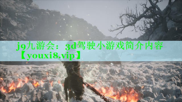 3d驾驶小游戏简介内容