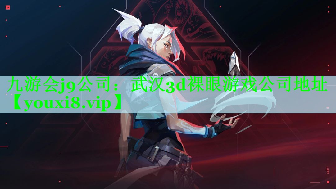 武汉3d裸眼游戏公司地址