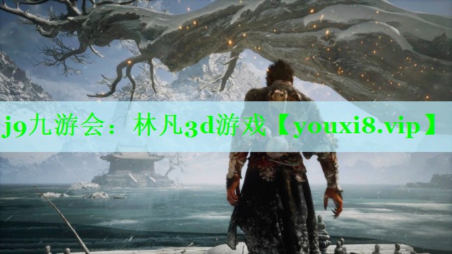 林凡3d游戏
